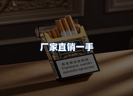 专业团队办公环境